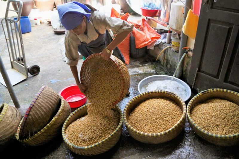Làng nghề tương Bần - đặc sản của mảnh đất Hưng Yên